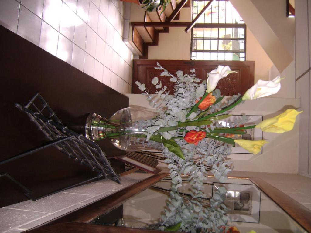 Hotel San Mateo Сан Салвадор Екстериор снимка